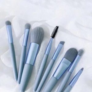 Portable makeup brush set  (set of 8)